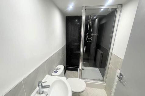 Basement Bathroom (1