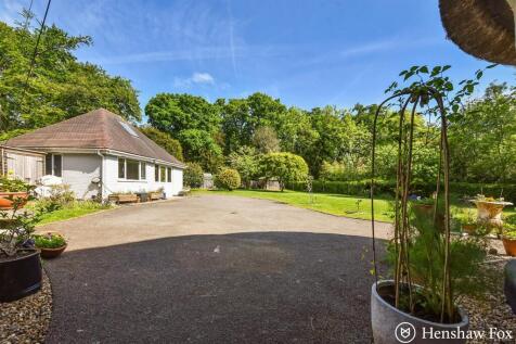 sketch_Ph4_5924488 - Copy.jpg