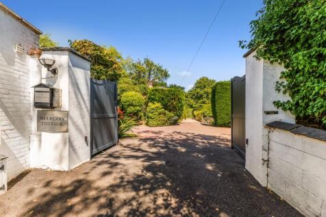 95281_Mulberry Co...