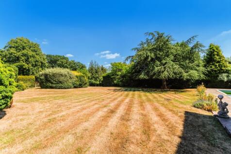 95281_Mulberry Co...