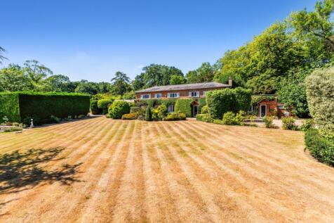 95281_Mulberry Co...