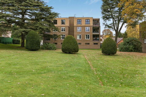 Property Image 16
