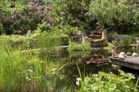 Pond