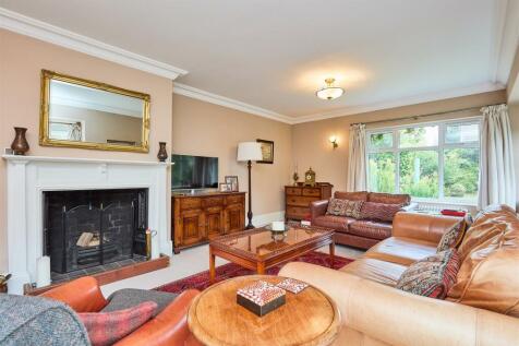 Crowhurst Gale 2024 202A5285.jpg