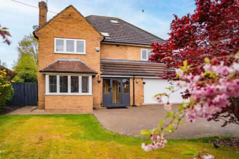 Property Image 61
