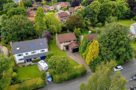 DJI_0771-Edit.jpg