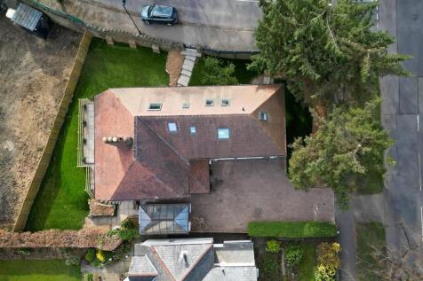DJI_0045 2025-03-27 23_44_17 (1).jpg