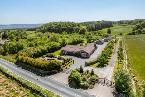 DJI_0212.jpg