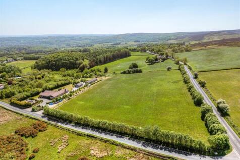 DJI_0213.jpg