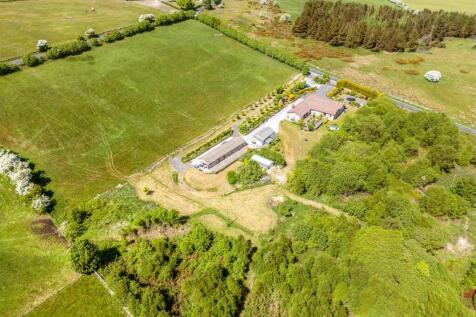 DJI_0231.jpg