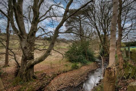 DSC_7129_hdr.jpg