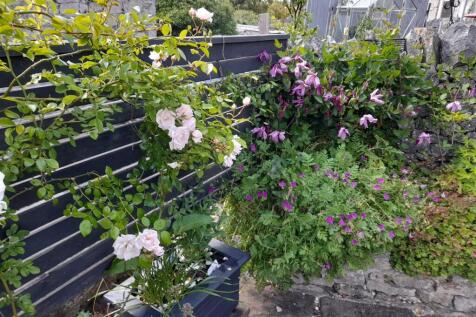 Saxton Mee Summer Villa 0009.jpg