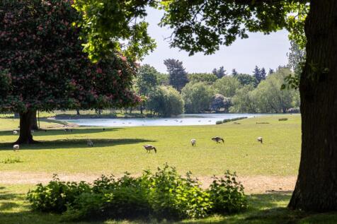 CRE_1946 edit for web.jpg