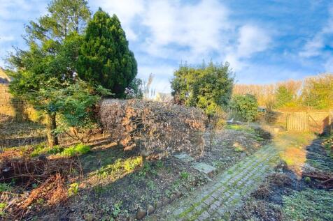 Top garden