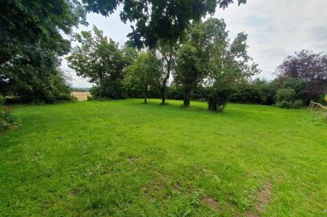 IMG_68372_50_larg...