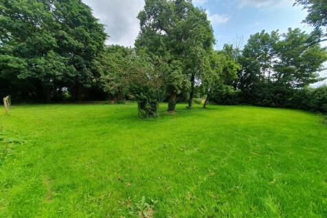 IMG_68372_48_larg...