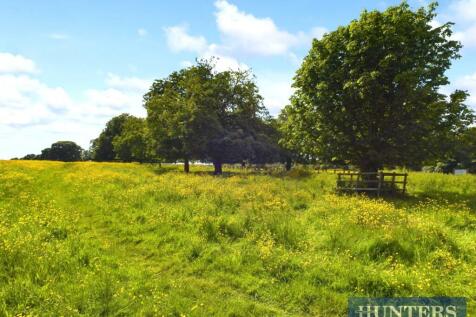 CAM01450G0-PR0100-STILL093.jpg