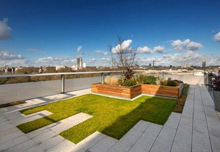 Communal Terrace