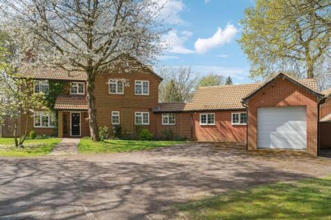 Property Image 31