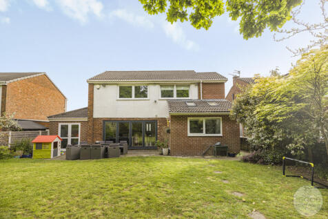 Property Image 23