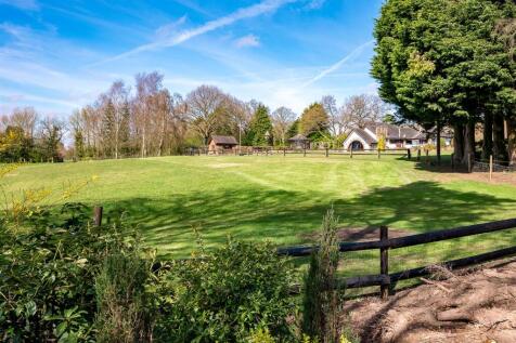 Front paddock