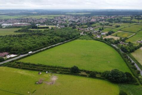DJI_0370.JPG