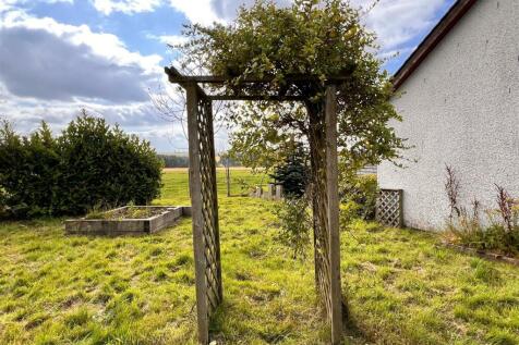 Side garden.jpg
