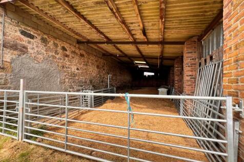 Sheep pen.jpg