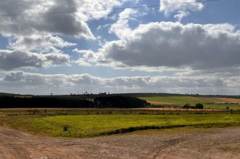 View from driveway.jpg