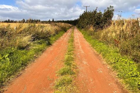 Private road.jpg