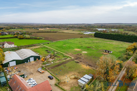 Yard and grounds 