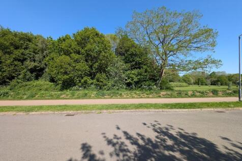 9 Templar front view.jpg