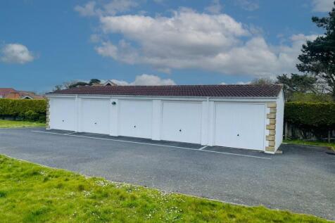 Spence Willard-4.jpg