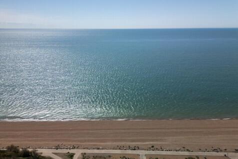 The view