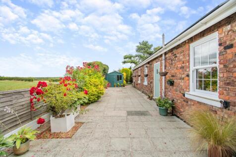 Rear patio