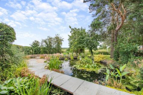 Pond area