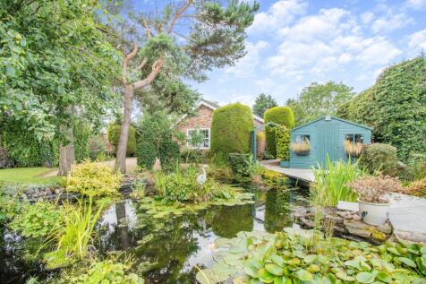 Pond area