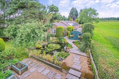 Kitchen garden