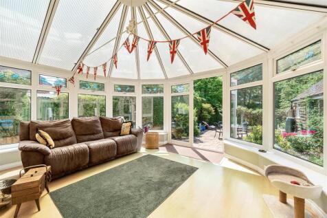 1295983-17-68305c466a905-ARW .jpg