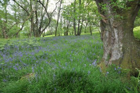 ADDITIONAL PHOTOGRAPH