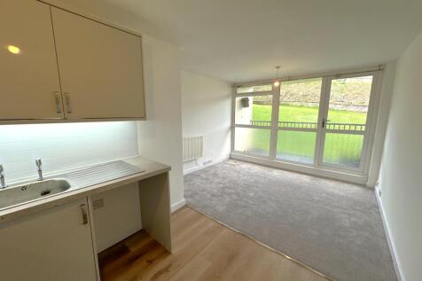 Kitchen and Lounge
