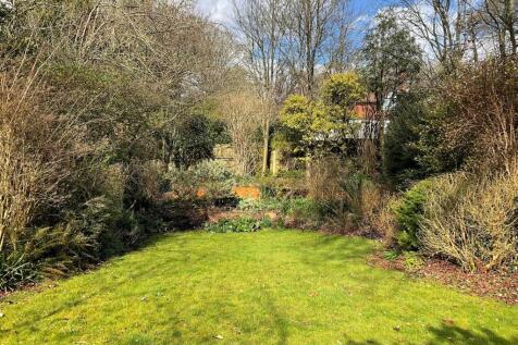 Garden pic3.jpg