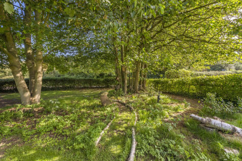 Wooded Area 