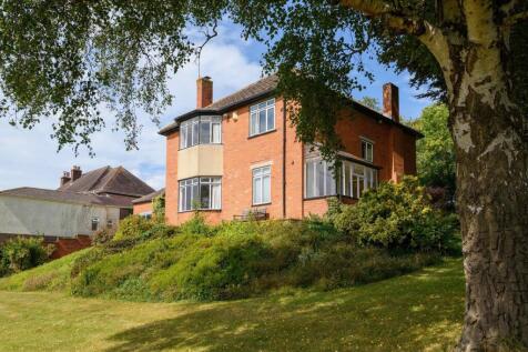 TEK HiRes 240827 035.jpeg