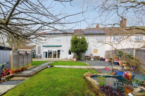 TEK HiRes 250205 028.jpeg