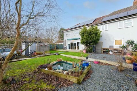 TEK HiRes 250205 024.jpeg