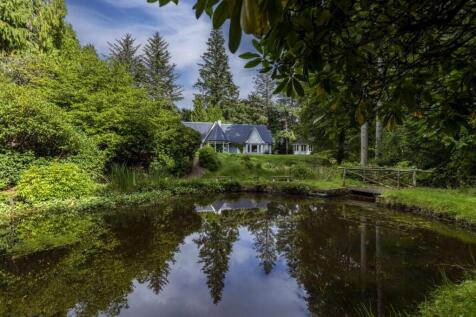 Pond View