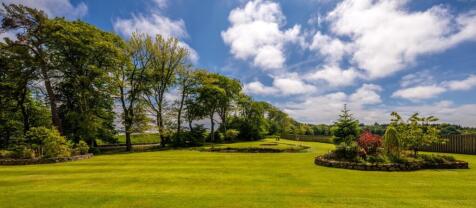 Lawn