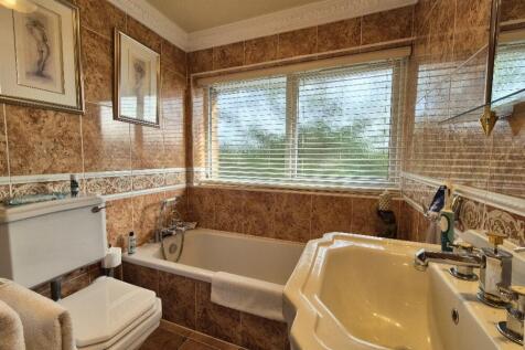 20250205_113404_resized_1