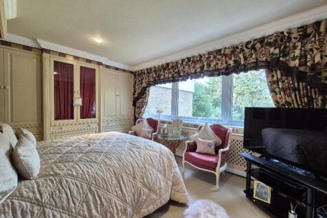 20250205_113558_resized_1